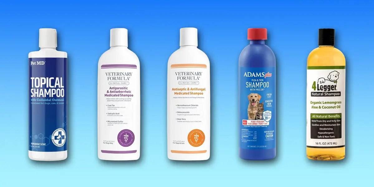 Top Dog Shampoos for Itchy Skin Relief in 2025