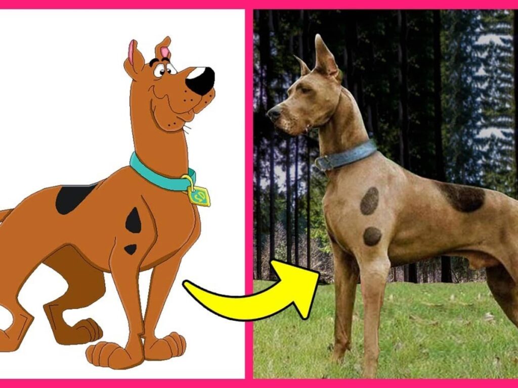 What Kind of Dog is Scooby-Doo? A Comprehensive Guide 2 What Kind of Dog is Scooby-Doo