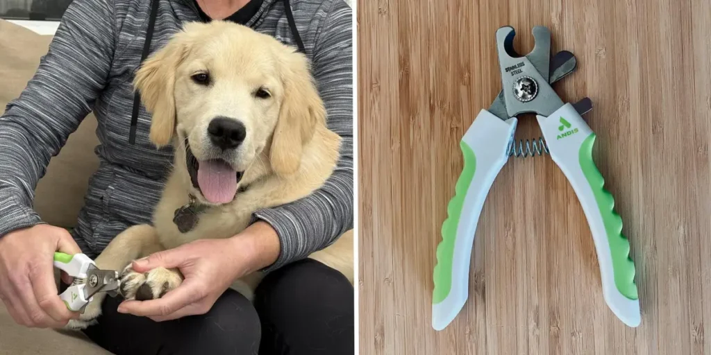 Best Dog Nail Clippers: Top Picks for Safe, Easy Trimming in 2025 2 Best Dog Nail Clippers