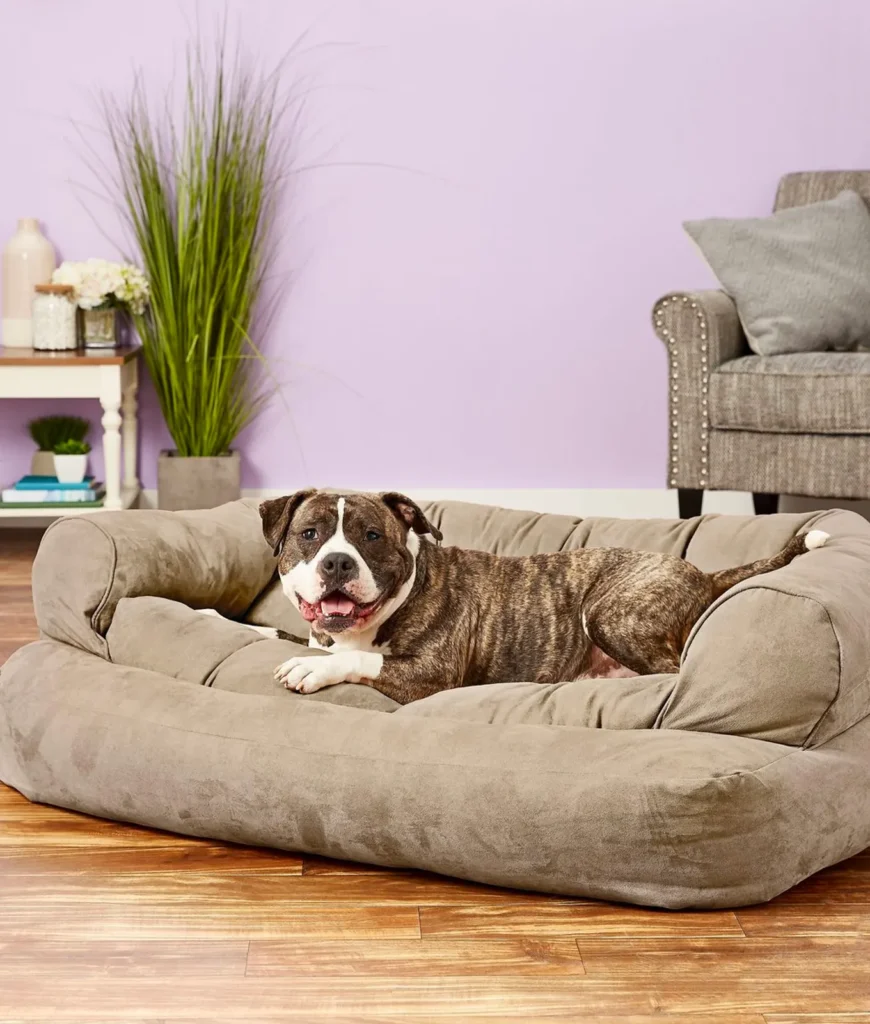 Best Dog Sofa 2025: Stylish Comfort for Your Furry Friend 2 Best Dog Sofa