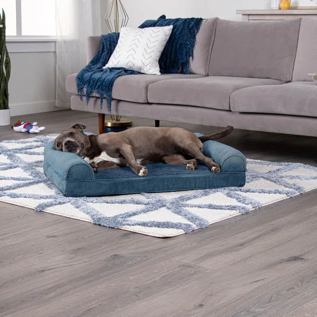 Best Dog Sofa 2025: Stylish Comfort for Your Furry Friend 4 Best Dog Sofa