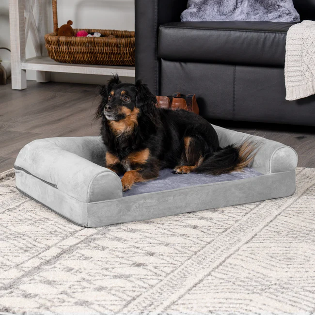 Best Dog Sofa 2025: Stylish Comfort for Your Furry Friend 5 Best Dog Sofa