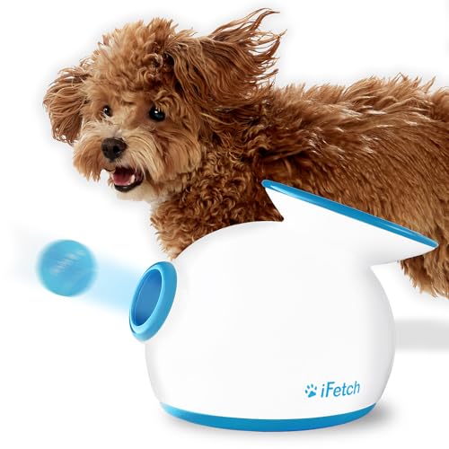 Enhance Fetch Fun in 2025 with the Best Dog Ball Launchers 2 Dog Ball Launcher
