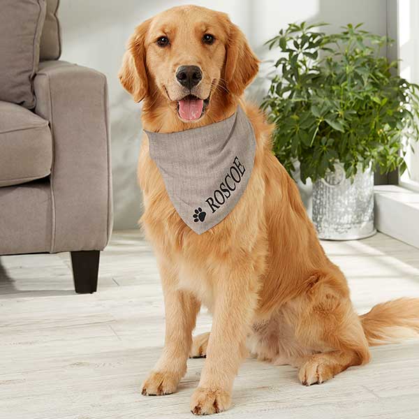 Stylish Dog Bandanas 2025: Trends, Tips & Buying Guide 4 Dog Bandanas