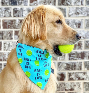 Stylish Dog Bandanas 2025: Trends, Tips & Buying Guide 2 Dog Bandanas