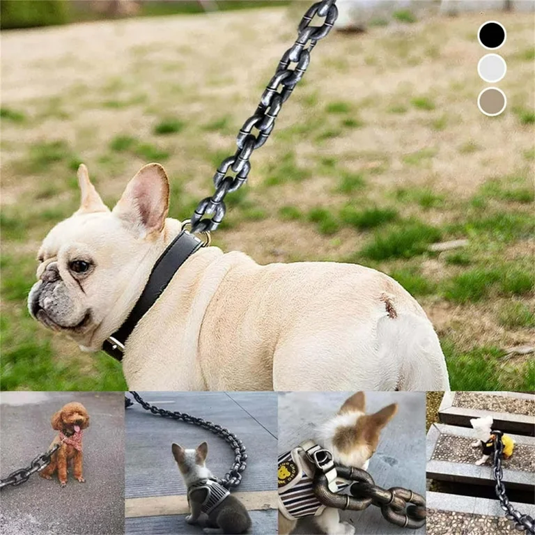 Best Dog Chains 2025: Top Picks for Safety and Style 2 Dog Chains