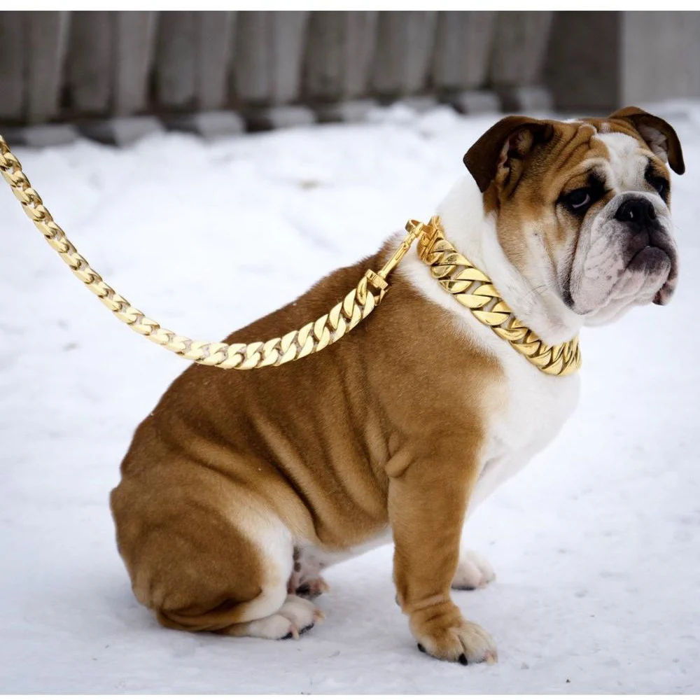 Best Dog Chains 2025: Top Picks for Safety and Style