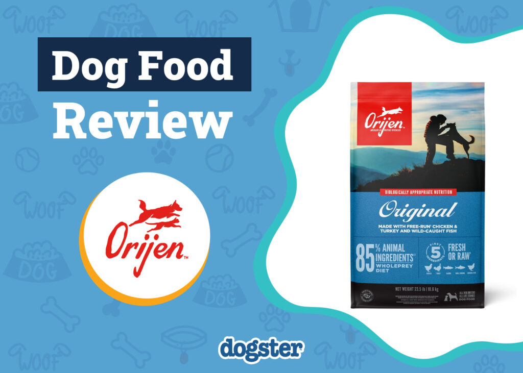Orijen Dog Food: Unlock Superior Health & Vitality 3 Orijen Dog Food