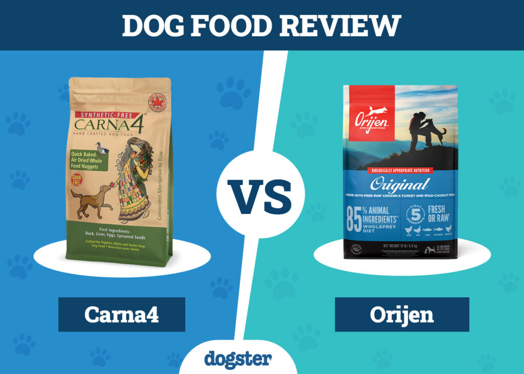 Orijen Dog Food: Unlock Superior Health & Vitality 2 Orijen Dog Food 4