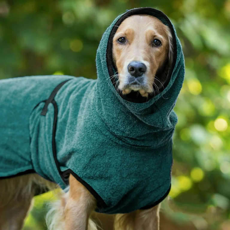 Stylish and Functional Dog Shirts: Trends for 2025 2 Stylish and Functional Dog Shirts