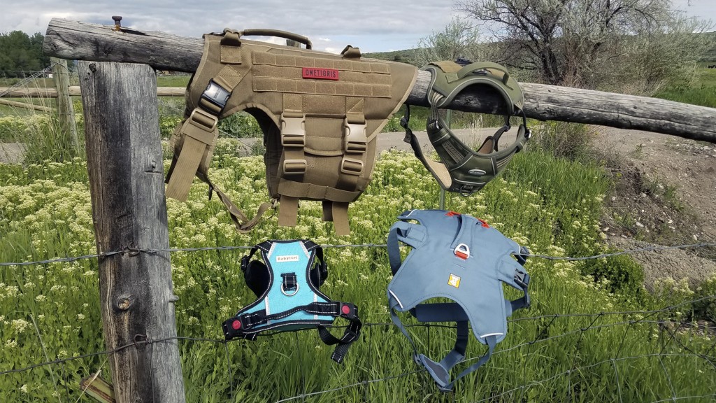 Essential Tactical Dog Harness Guide: Safety, Control, and Versatility Enhancements