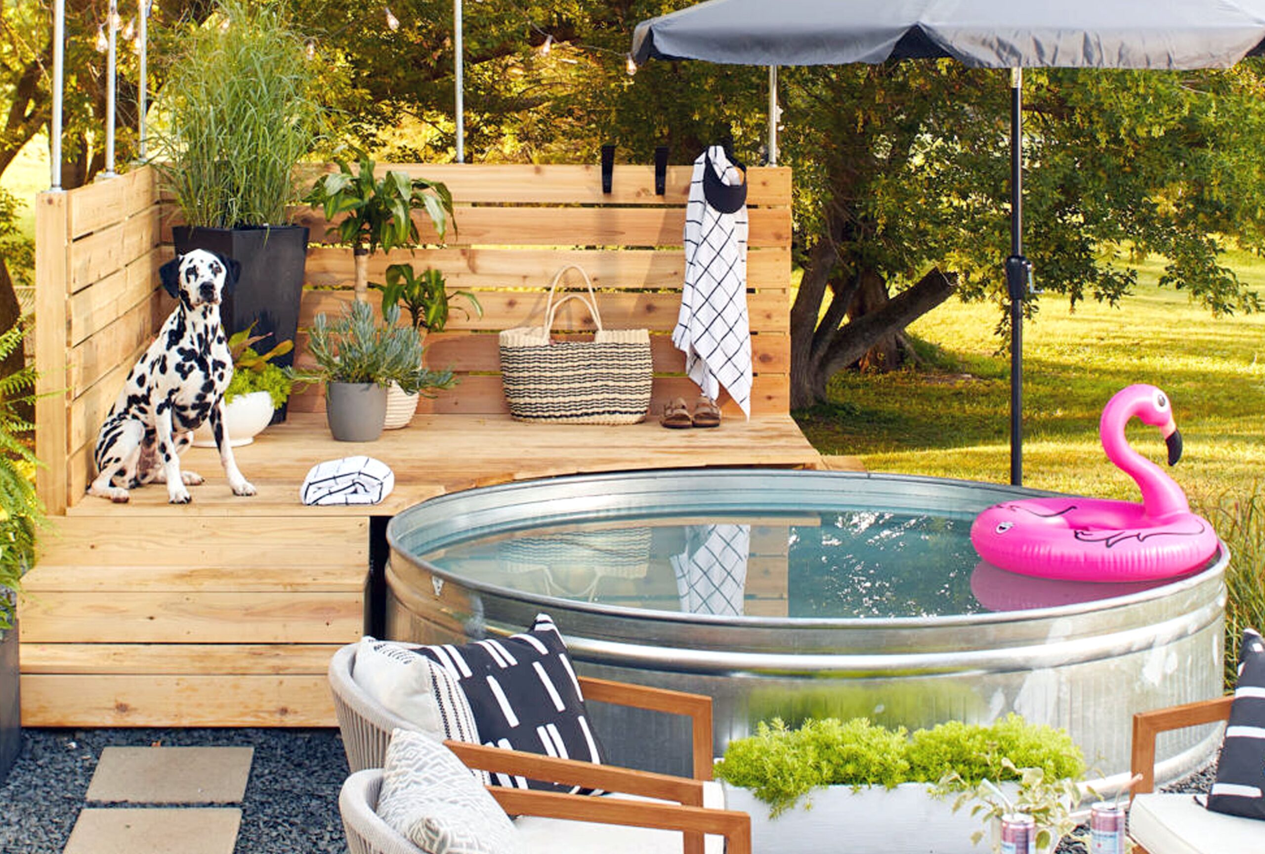 Top Dog Pools 2025: Safe & Fun Pools for Dogs