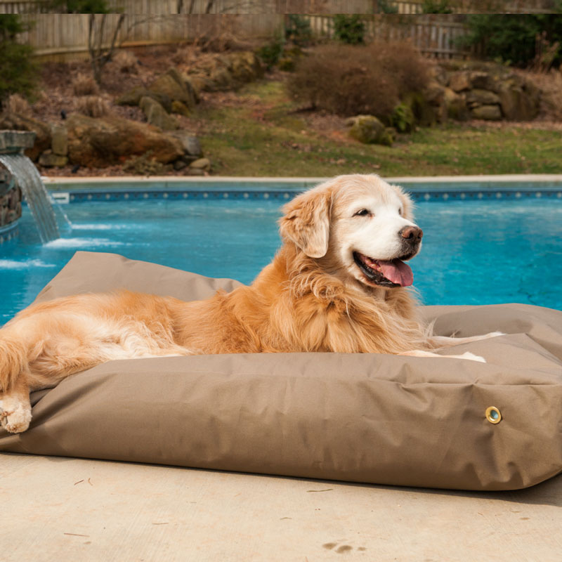 Perfect Waterproof Dog Bed for 2025: Durability & Comfort 3 Waterproof Dog Bed