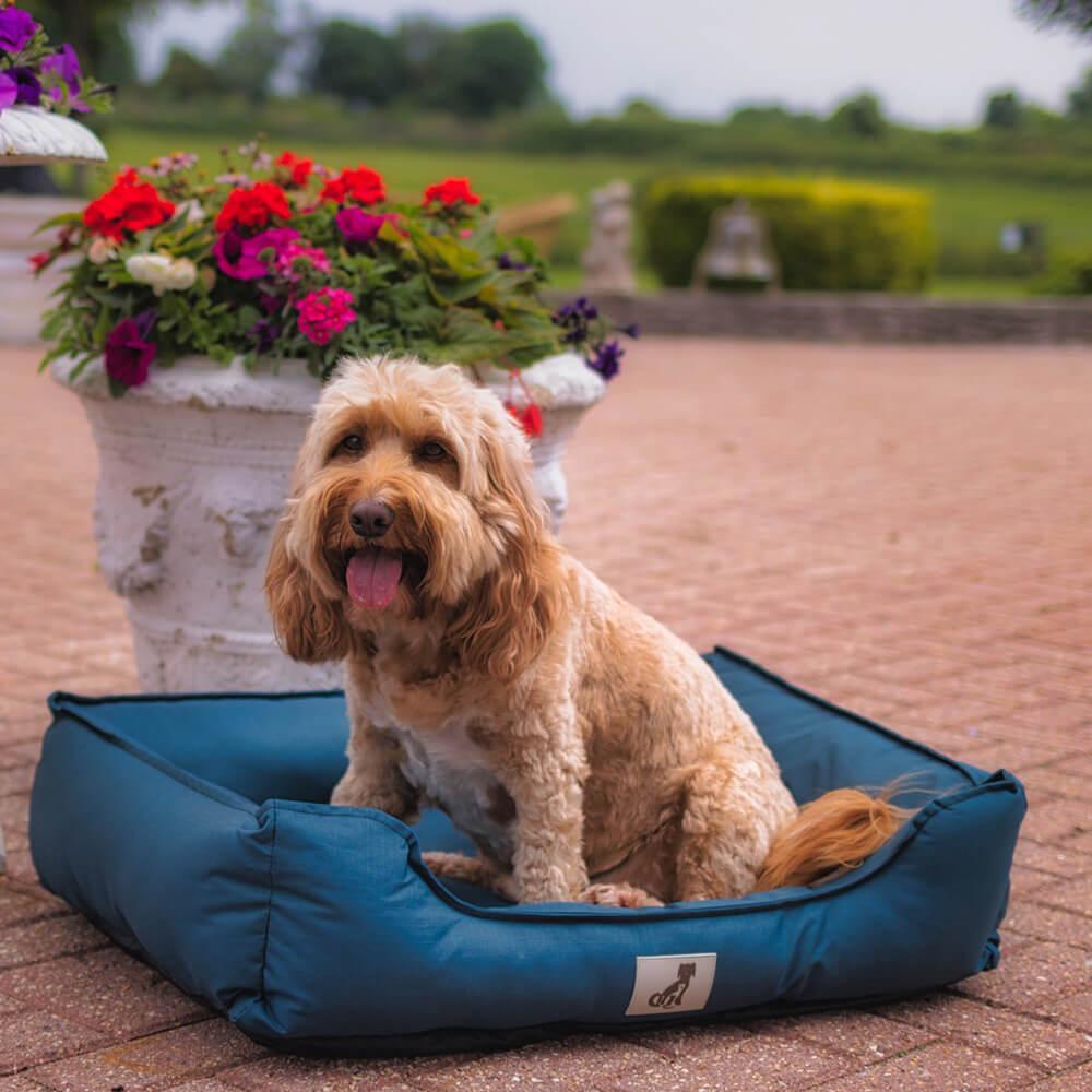 Perfect Waterproof Dog Bed for 2025: Durability & Comfort 2 Waterproof Dog Bed