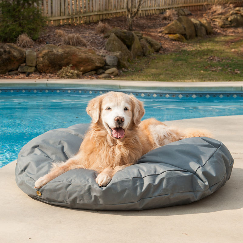 Perfect Waterproof Dog Bed for 2025: Durability & Comfort