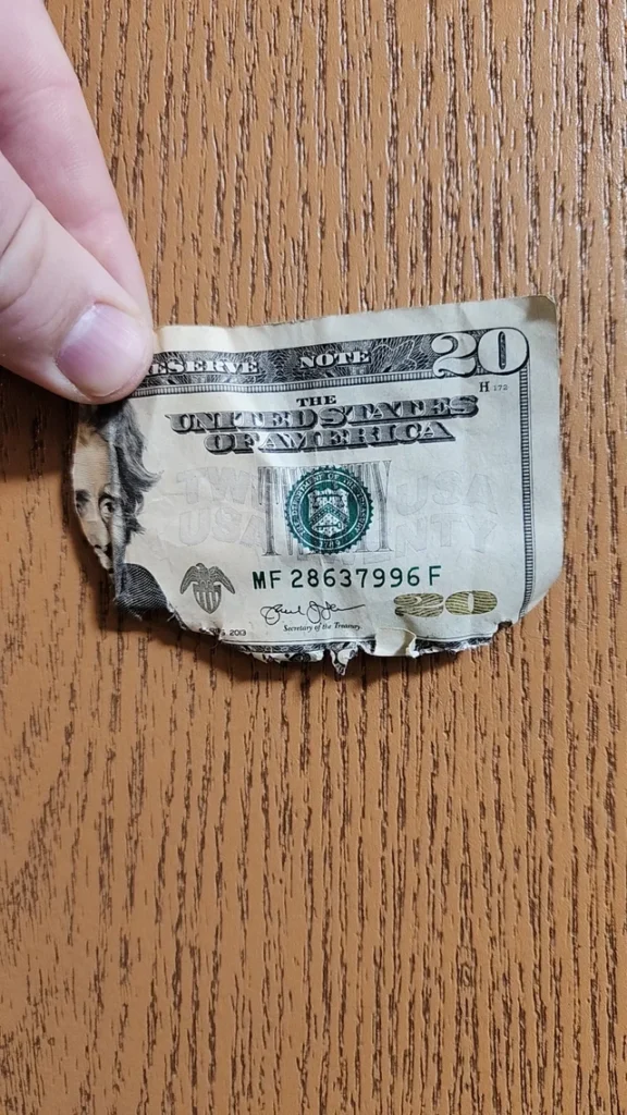What to Do If Your Dog Ate Money: Essential Steps 2025 2 What to Do If Your Dog Ate Money